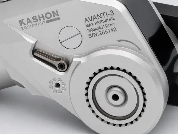 Synchronous Fastening Button and Anti-Reverse Pawl Assembly